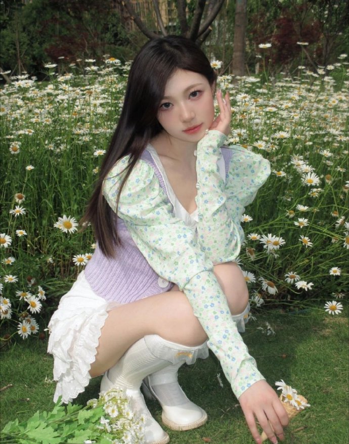 莲花楼