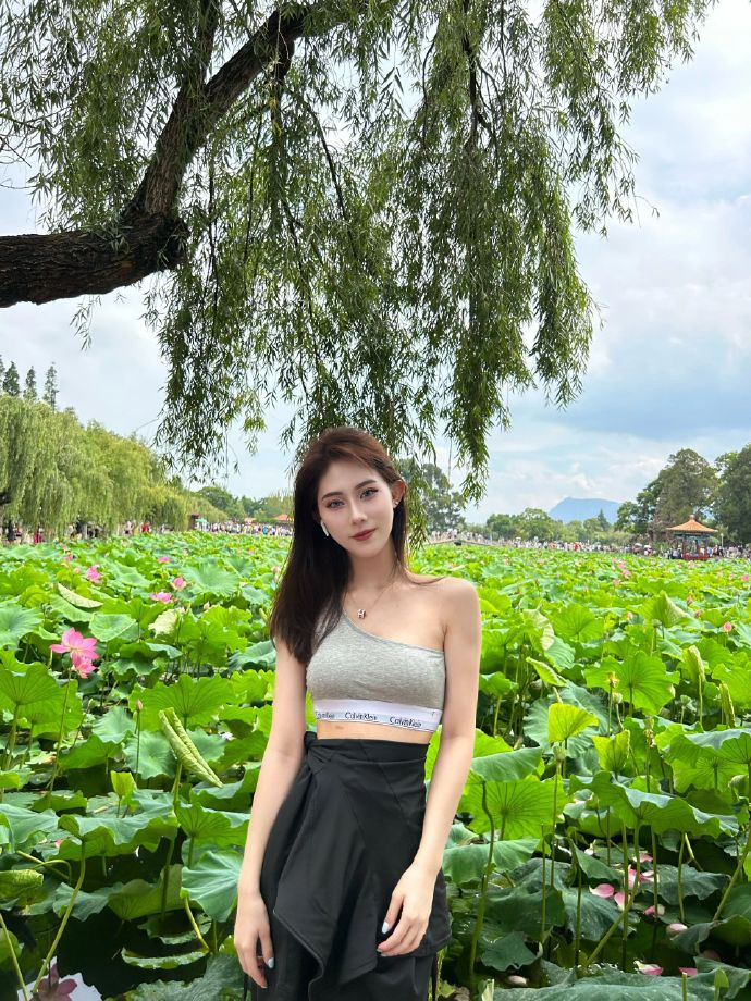 我的阿勒泰 封面